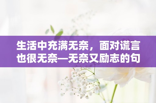 生活中充满无奈，面对谎言也很无奈—无奈又励志的句子简短