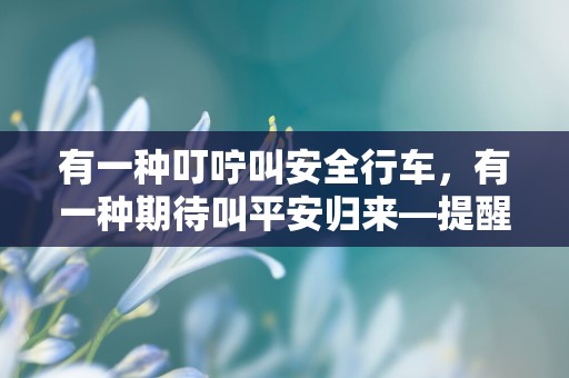 有一种叮咛叫安全行车，有一种期待叫平安归来—提醒开车的注意安全句子60条