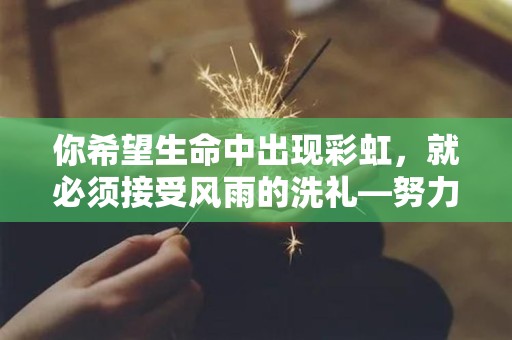 你希望生命中出现彩虹，就必须接受风雨的洗礼—努力励志句子