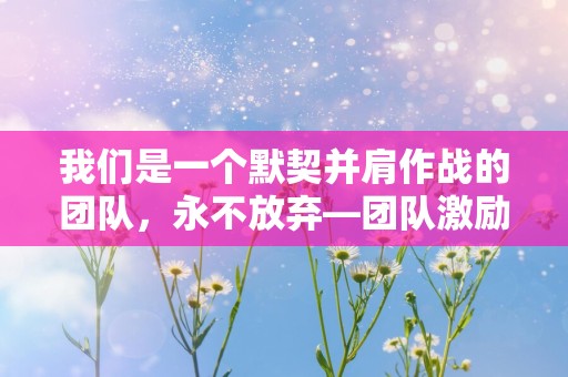 我们是一个默契并肩作战的团队，永不放弃—团队激励文案