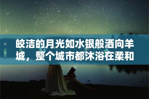 皎洁的月光如水银般洒向羊城，整个城市都沐浴在柔和又明净旳夜色中—描写现代的城市非常繁华的经典句子摘录