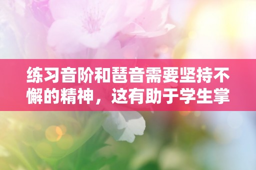 练习音阶和琶音需要坚持不懈的精神，这有助于学生掌握扎实的钢琴技能—钢琴名言