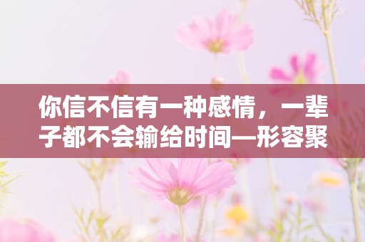 你信不信有一种感情，一辈子都不会输给时间—形容聚会特别开心的句子