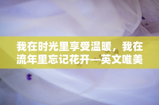 我在时光里享受温暖，我在流年里忘记花开—英文唯美句子