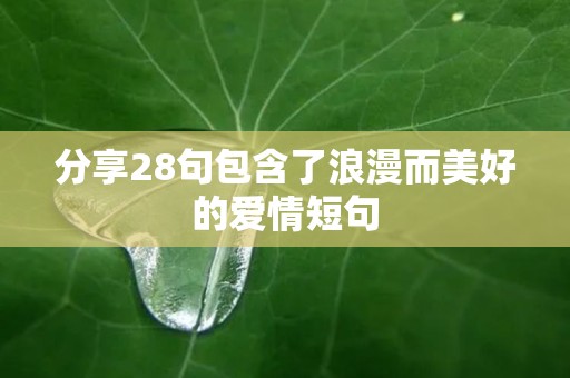 分享28句包含了浪漫而美好的爱情短句