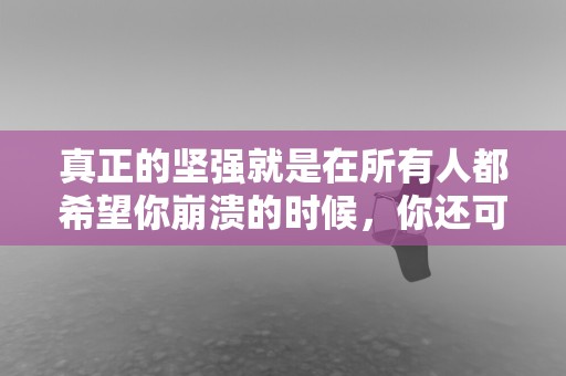 真正的坚强就是在所有人都希望你崩溃的时候，你还可以振作—有个性的说说