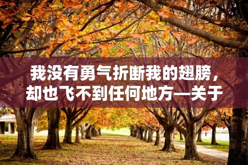 我没有勇气折断我的翅膀，却也飞不到任何地方—关于祝福朋友开心的句子