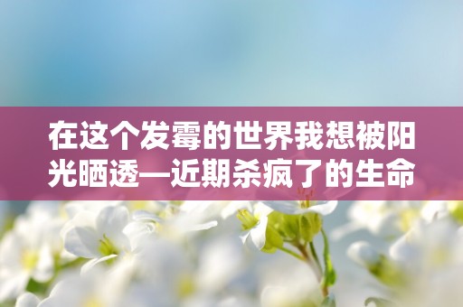 在这个发霉的世界我想被阳光晒透—近期杀疯了的生命力𝙒𝙚𝘾𝙝𝙖𝙩文案