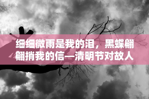 细细微雨是我的泪，黑蝶翩翩捎我的信—清明节对故人的思念文案大全25条