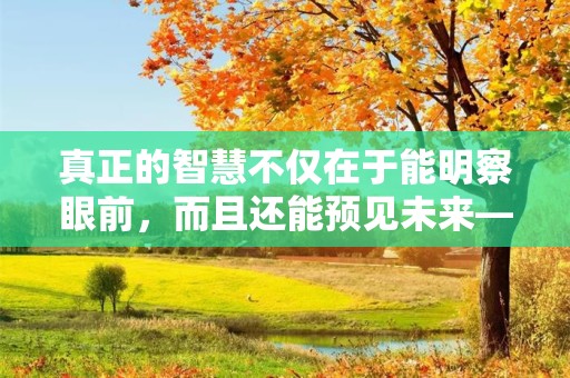 真正的智慧不仅在于能明察眼前，而且还能预见未来—一起向未来的优美文案