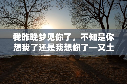 我昨晚梦见你了，不知是你想我了还是我想你了—又土又上头的霸道总裁土味情话100句