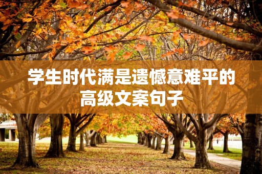 学生时代满是遗憾意难平的高级文案句子