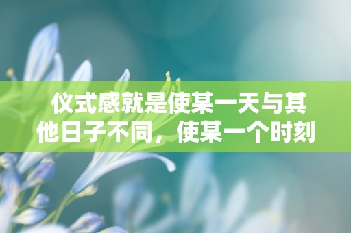  仪式感就是使某一天与其他日子不同，使某一个时刻与其他时刻不同—精致独特有仪式感的句子通用四十句