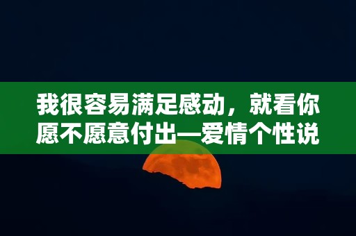 我很容易满足感动，就看你愿不愿意付出—爱情个性说说