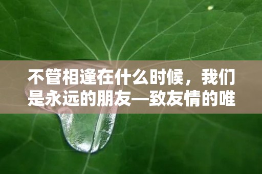 不管相逢在什么时候，我们是永远的朋友—致友情的唯美句子