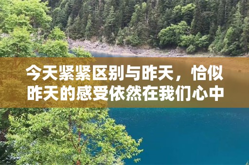 今天紧紧区别与昨天，恰似昨天的感受依然在我们心中—关于青春个性句子