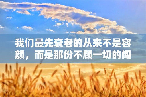 我们最先衰老的从来不是容颜，而是那份不顾一切的闯劲—明信片唯美温暖寄语