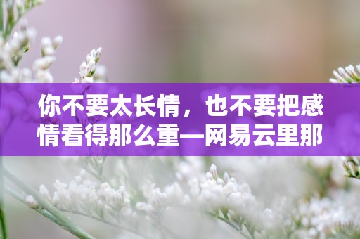 你不要太长情，也不要把感情看得那么重—网易云里那些让你emo的文案