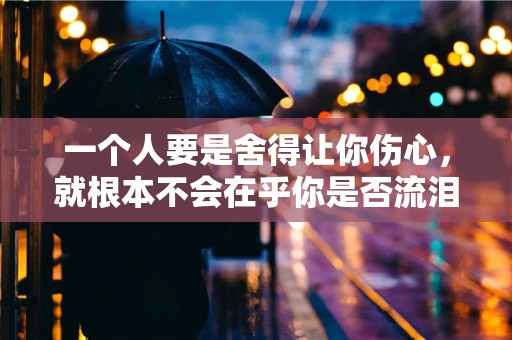 一个人要是舍得让你伤心，就根本不会在乎你是否流泪—安慰心烦的人的句子大全