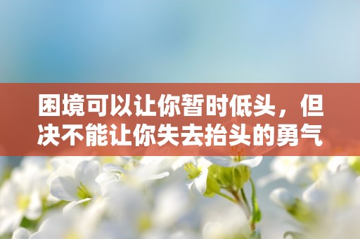 困境可以让你暂时低头，但决不能让你失去抬头的勇气—唯美的句子精华