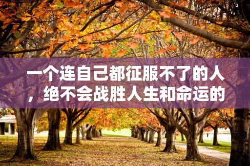 一个连自己都征服不了的人，绝不会战胜人生和命运的挑战—让人清醒的现实句子