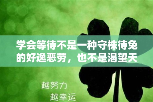 学会等待不是一种守株待兔的好逸恶劳，也不是渴望天上掉饼的异想天开—唯美句子等待