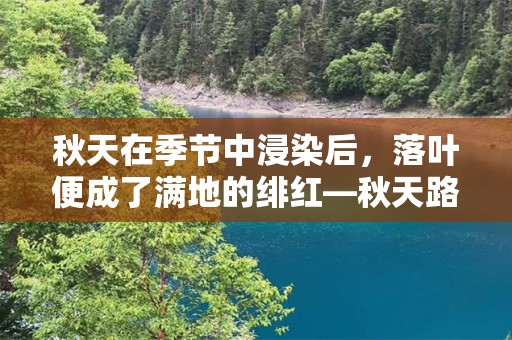 秋天在季节中浸染后，落叶便成了满地的绯红—秋天路边落叶的优美短句