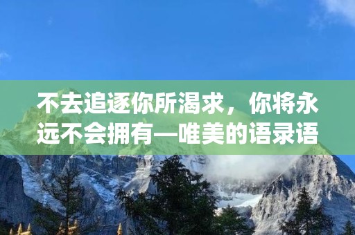 不去追逐你所渴求，你将永远不会拥有—唯美的语录语句摘抄_唯美语句大全-第1张图片-觅纤