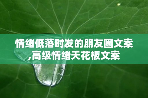 情绪低落时发的朋友圈文案,高级情绪天花板文案