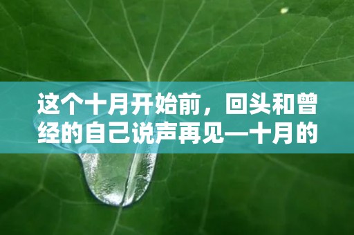 这个十月开始前，回头和曾经的自己说声再见—十月的美好励志句子文案说说