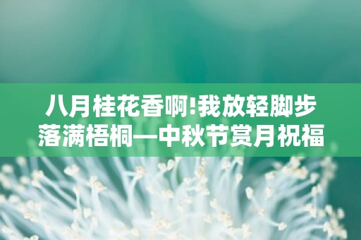 八月桂花香啊!我放轻脚步落满梧桐—中秋节赏月祝福语大全