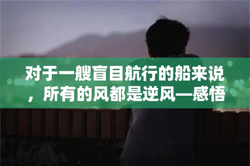 对于一艘盲目航行的船来说，所有的风都是逆风—感悟生活的句子