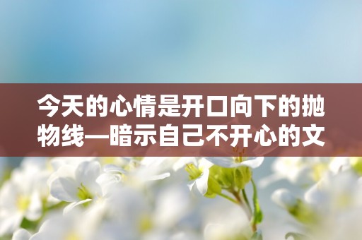 今天的心情是开口向下的抛物线—暗示自己不开心的文案-第1张图片-觅纤