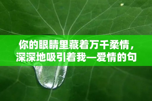 你的眼睛里藏着万千柔情，深深地吸引着我—爱情的句子唯美短句文案