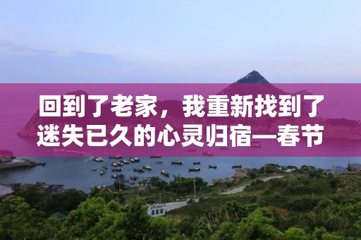 回到了老家，我重新找到了迷失已久的心灵归宿—春节回老家句子精选45句