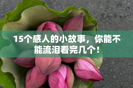 15个感人的小故事，你能不能流泪看完几个！