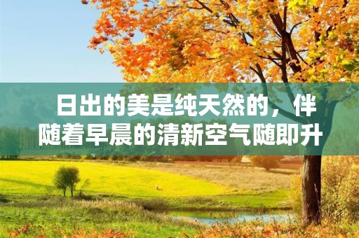   日出的美是纯天然的，伴随着早晨的清新空气随即升起—爬山登顶看到日出的唯美句子