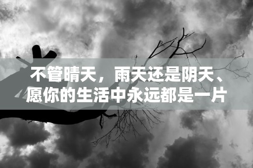 不管晴天，雨天还是阴天、愿你的生活中永远都是一片艳阳天—形容好心情的唯美句子