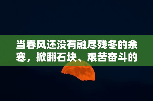 当春风还没有融尽残冬的余寒，掀翻石块、艰苦奋斗的精神—描写竹子句子宁折不弯的作文素材句子锦集