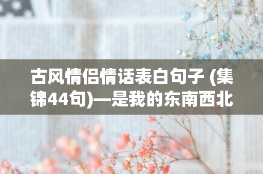 古风情侣情话表白句子 (集锦44句)—是我的东南西北，胜过一切苍山泱水，多看你一眼便溃不成军