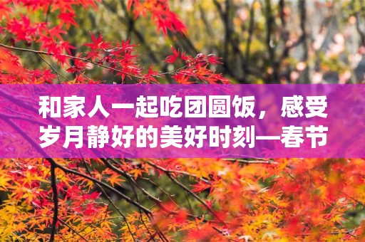 和家人一起吃团圆饭，感受岁月静好的美好时刻—春节回家的句子和说说