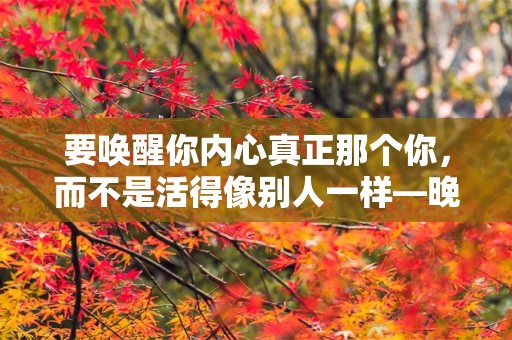 要唤醒你内心真正那个你，而不是活得像别人一样—晚安心语温暖入心的说说短句