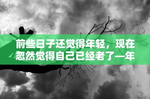 前些日子还觉得年轻，现在忽然觉得自己已经老了—年纪大了感慨句子