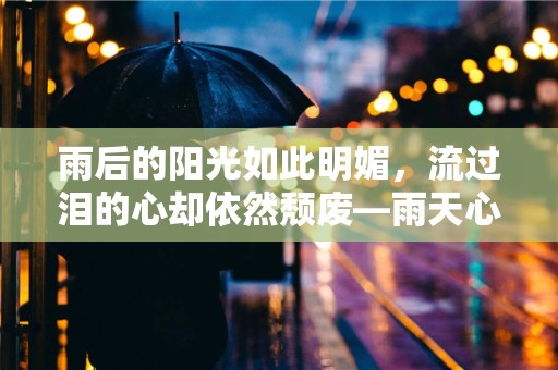 雨后的阳光如此明媚，流过泪的心却依然颓废—雨天心情好的唯美句子