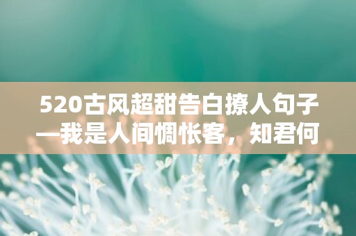 520古风超甜告白撩人句子—我是人间惆怅客，知君何事泪纵横