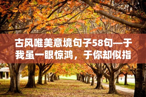 古风唯美意境句子58句—于我虽一眼惊鸿，于你却似指尖清风