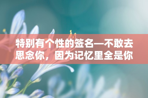 特别有个性的签名—不敢去思念你，因为记忆里全是你的无情与冷漠