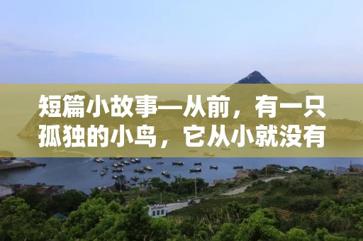 短篇小故事—从前，有一只孤独的小鸟，它从小就没有父母，只能独自飞翔在世界上