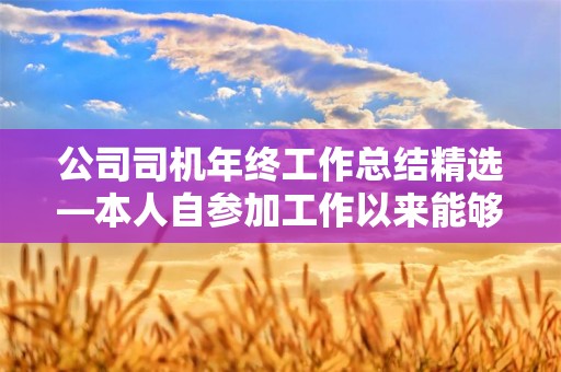 公司司机年终工作总结精选—本人自参加工作以来能够自觉遵守各项交通法规和单位的规章制度