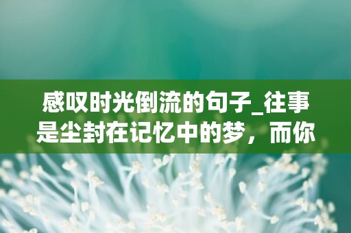 感叹时光倒流的句子_往事是尘封在记忆中的梦，而你是我唯一鲜明的记忆